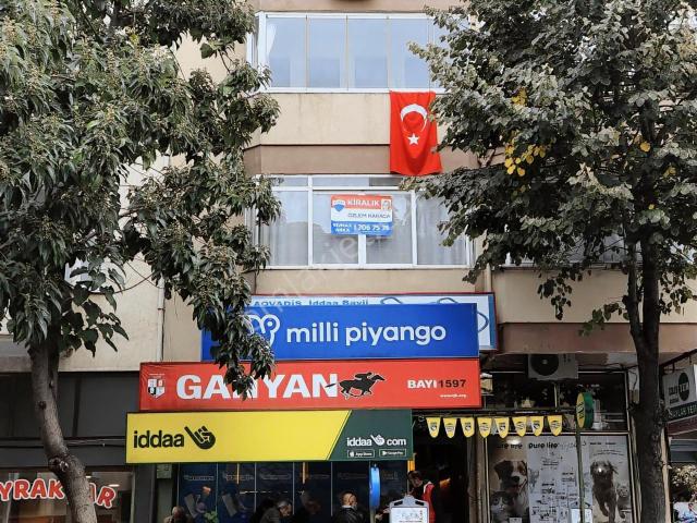 Çavuş Mahallesi, Şile içerisinde kiralık mülk