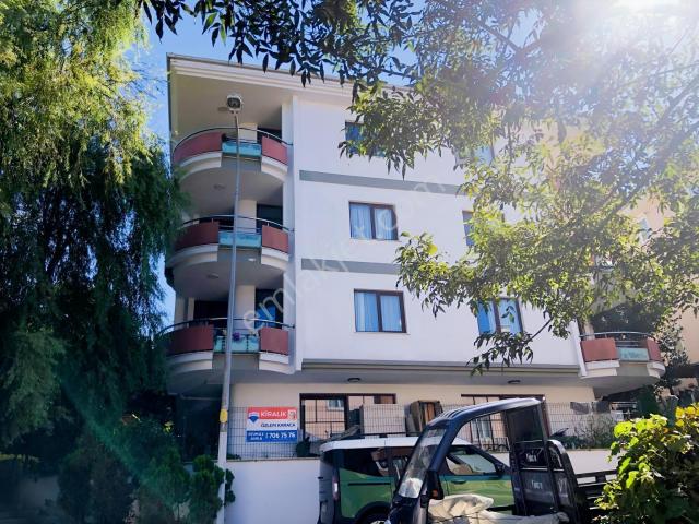 Çavuş Mahallesi, Şile içerisinde kiralık mülk