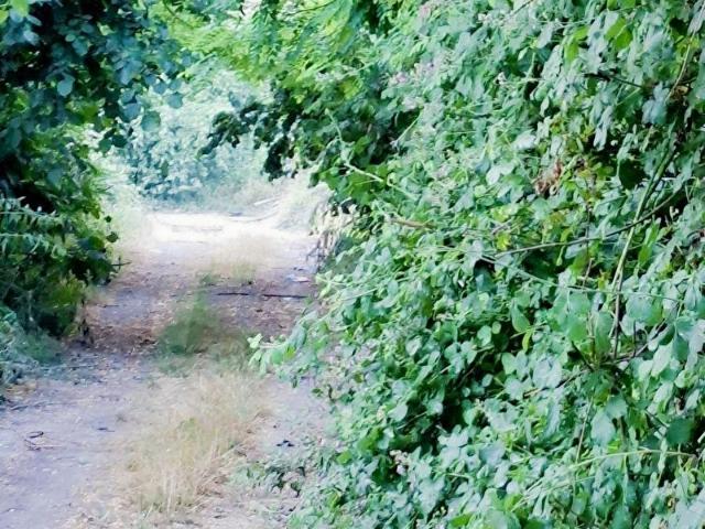Karapürçek, Sakarya içerisinde satılık mülk