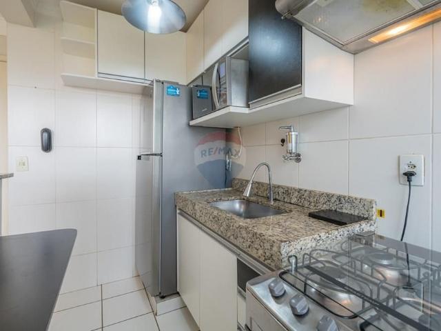 Apartamento aluguel em Região Imediata de Campinas, Região Metropolitana de Campinas