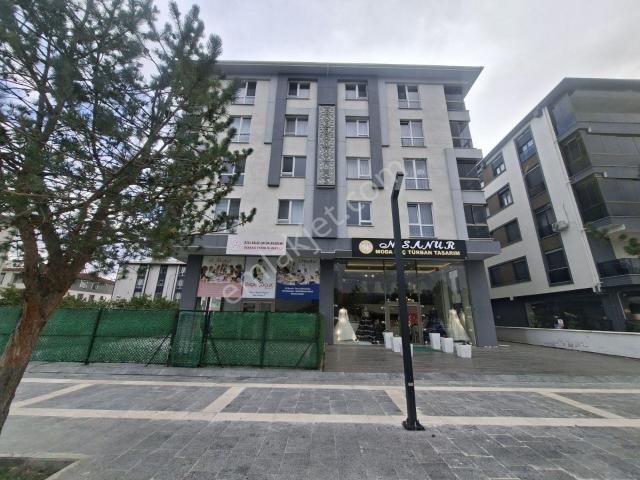 Halitpaşa Mahallesi, Erzincan Merkez içerisinde kiralık mülk