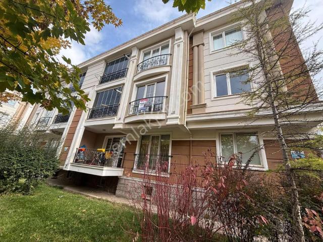 Erzincan Merkez, Erzincan içerisinde kiralık mülk