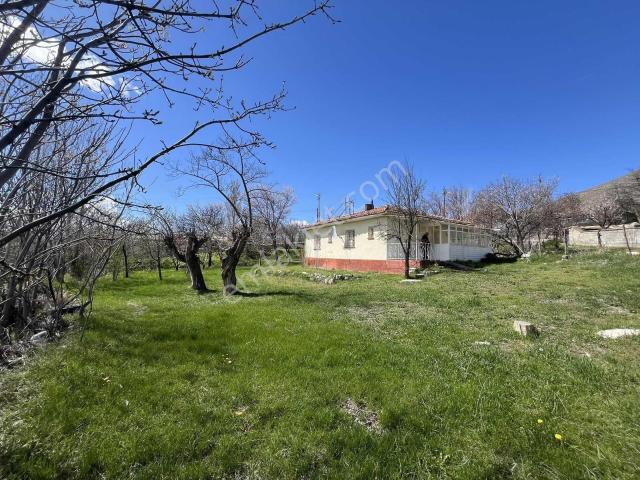 Erzincan Merkez, Erzincan içerisinde kiralık mülk