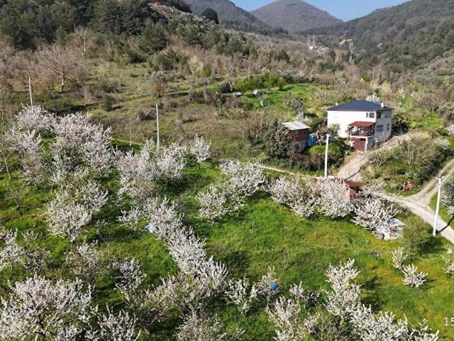 Geyve, Sakarya içerisinde satılık mülk
