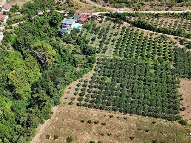 Geyve, Sakarya içerisinde satılık Arsa