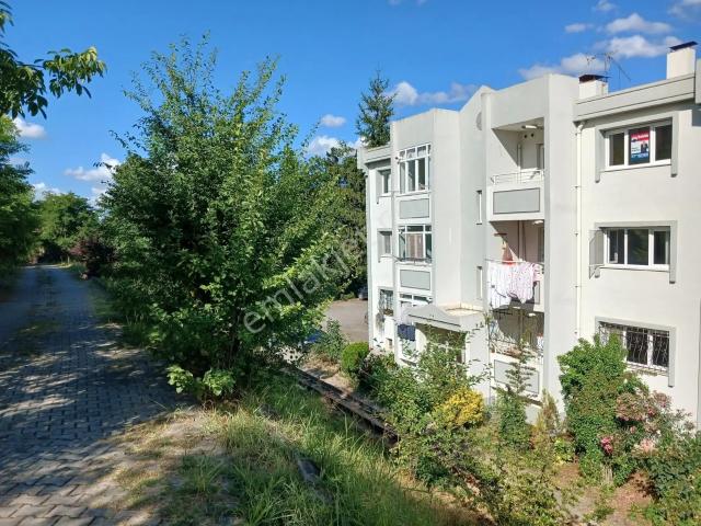 Adapazari, Sakarya içerisinde satılık mülk