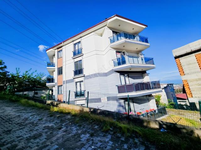 Adapazari, Sakarya içerisinde kiralık mülk