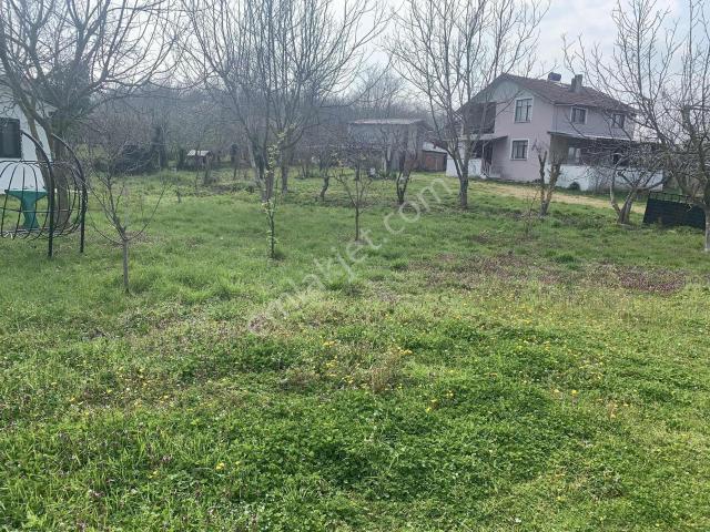 Karapürçek, Sakarya içerisinde satılık mülk