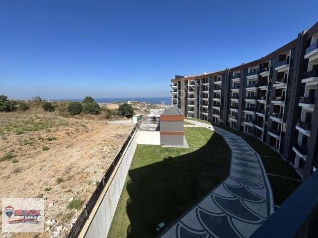 Yalova Merkez, Yalova içerisinde kiralık mülk