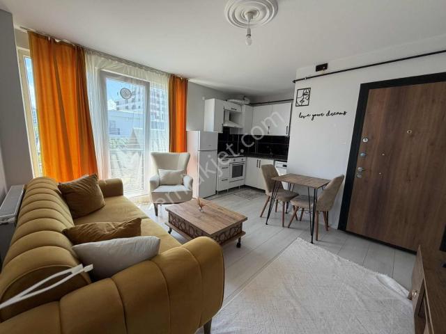 Atakum, Samsun içerisinde kiralık mülk