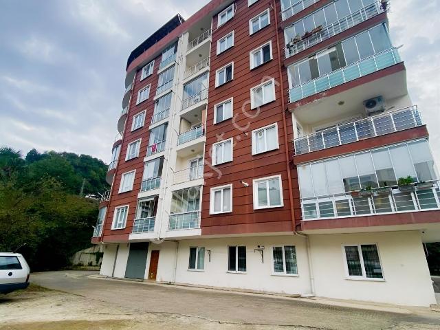 Bayazıt, Giresun Merkez içerisinde kiralık mülk