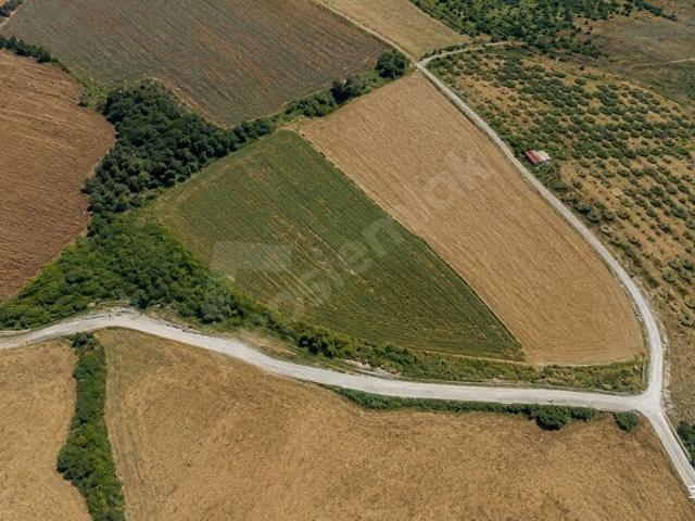 Çiftlikköy, Yalova içerisinde satılık Arsa