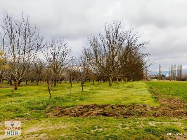 Geyve, Sakarya içerisinde satılık Arsa