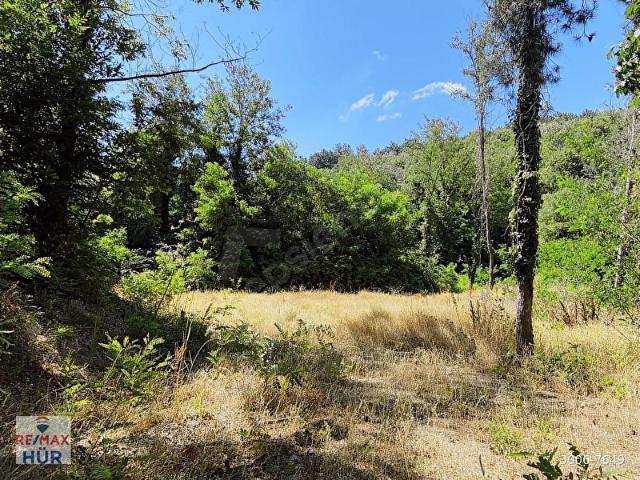 Sapanca, Sakarya içerisinde satılık Arsa
