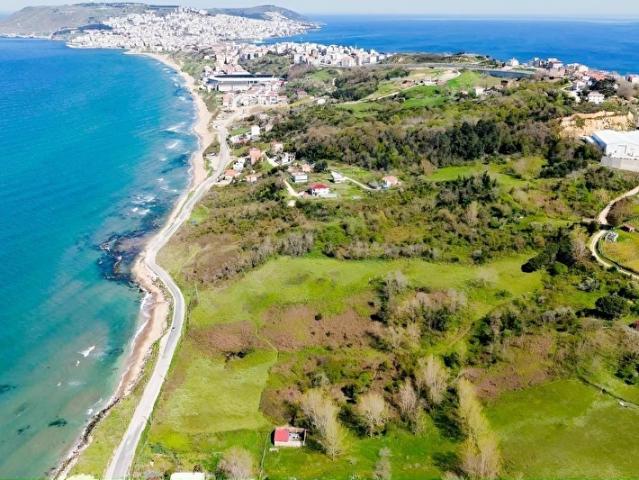 Sinop Merkez, Sinop içerisinde satılık mülk