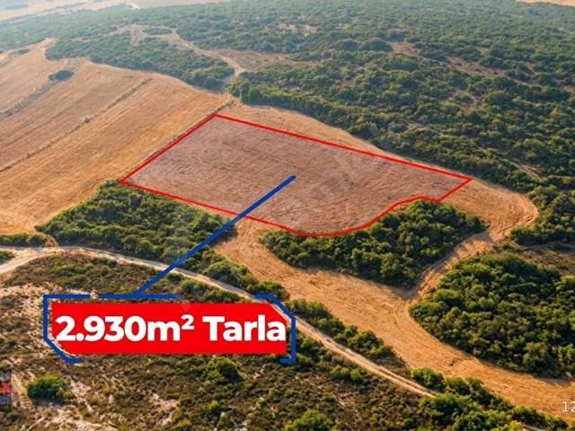 Çağış, Bigadiç içerisinde satılık Arsa
