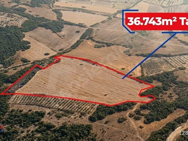 Ardıçlı, Savaştepe içerisinde satılık Arsa