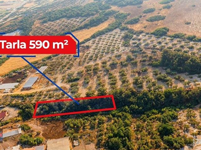Eşmedere, Sındırgı içerisinde satılık Arsa