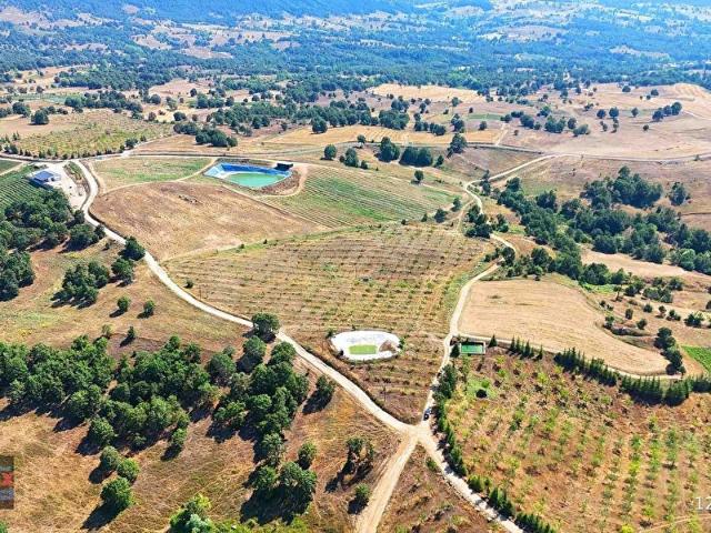Büyükorhan, Bursa içerisinde satılık Arsa