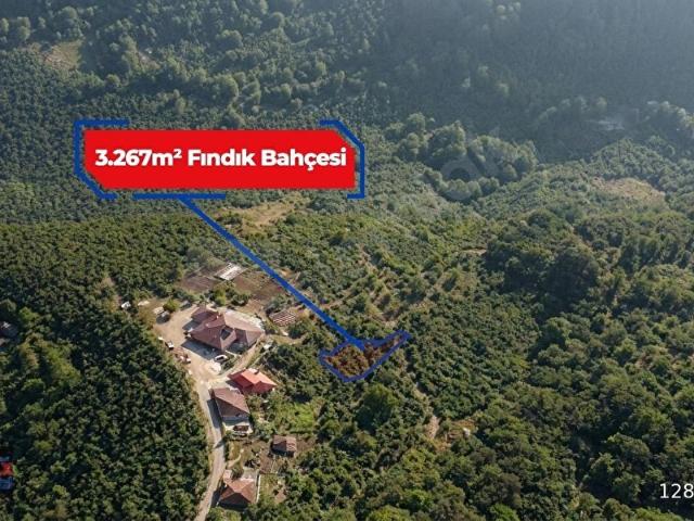 Tepecik Mahallesi, Fatsa içerisinde satılık Arsa