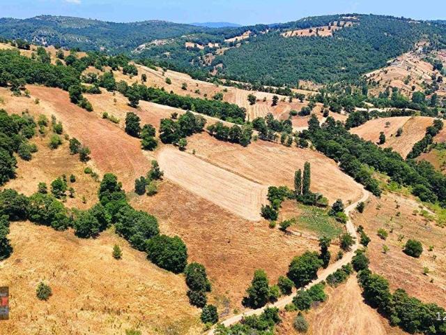 Bükdere, Kepsut içerisinde satılık Arsa