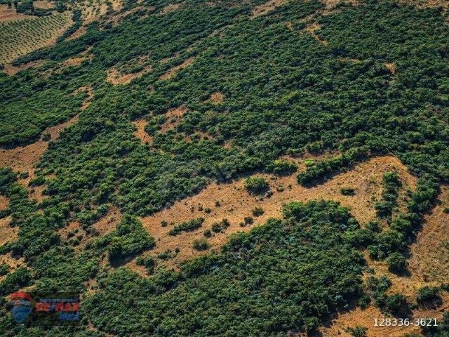 Kayaeli, Kepsut içerisinde satılık Arsa