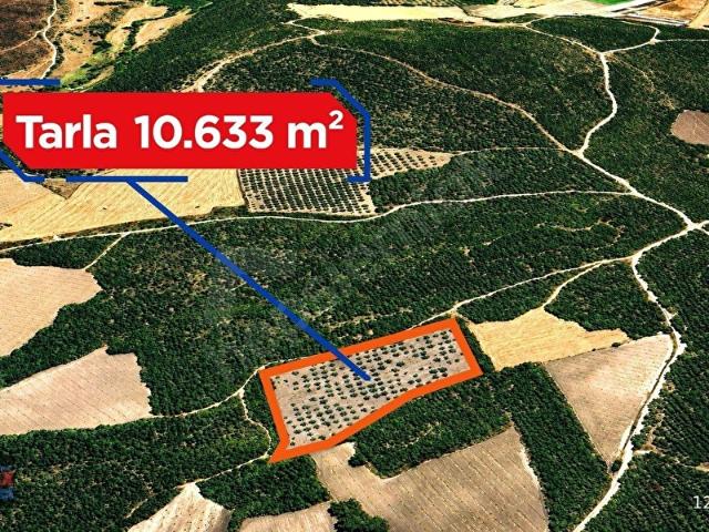 Karaçam, Savaştepe içerisinde satılık Arsa