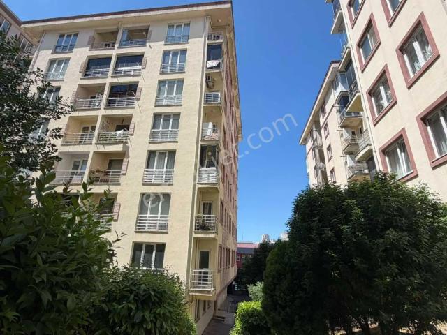 İstanbul içerisinde kiralık mülk