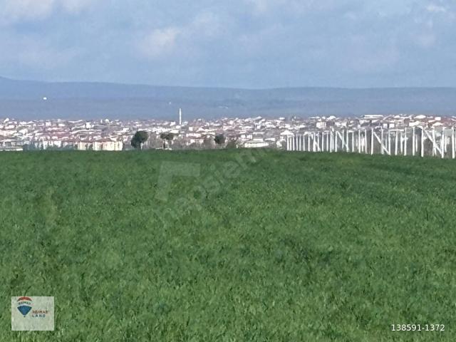 Saray, Tekirdağ içerisinde satılık Arsa