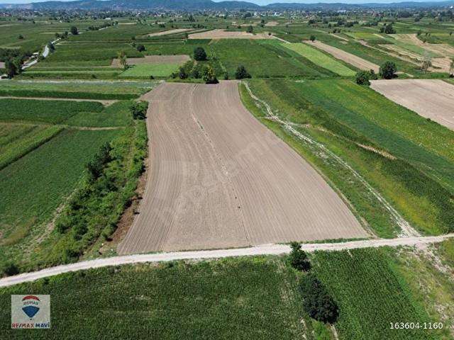 Adapazari, Sakarya içerisinde satılık Arsa