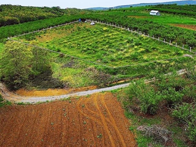 Adapazari, Sakarya içerisinde satılık Arsa