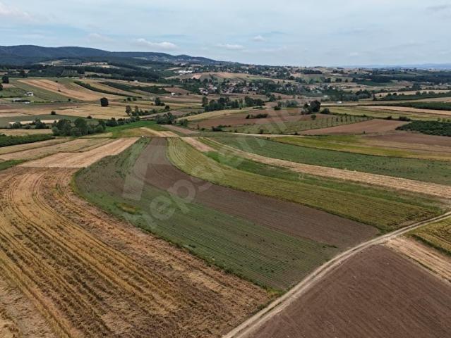 Söğütlü, Sakarya içerisinde satılık Arsa