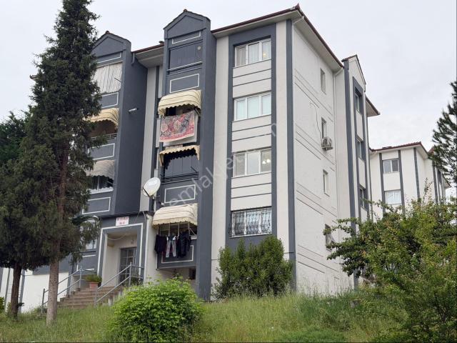 Adapazari, Sakarya içerisinde kiralık mülk