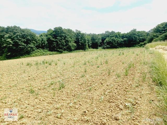 Adapazari, Sakarya içerisinde satılık Arsa