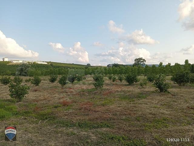 Kaynarca, Sakarya içerisinde satılık Arsa