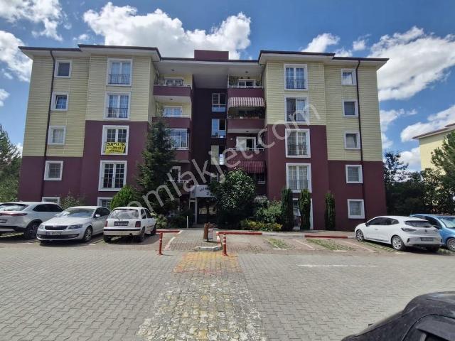 Adapazari, Sakarya içerisinde kiralık mülk