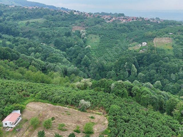 Çubuklu Mahallesi, Serdivan içerisinde satılık Arsa