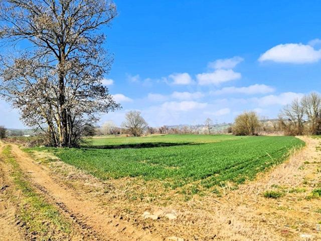 Adapazari, Sakarya içerisinde satılık Arsa