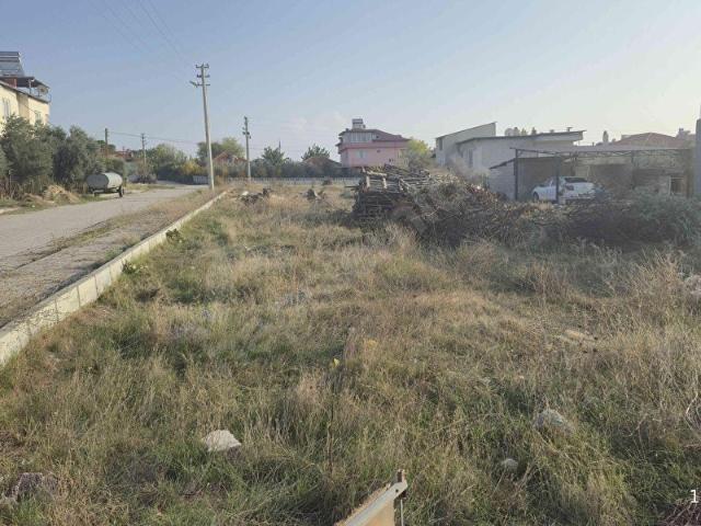 Irlıganlı, Pamukkale içerisinde satılık Arsa