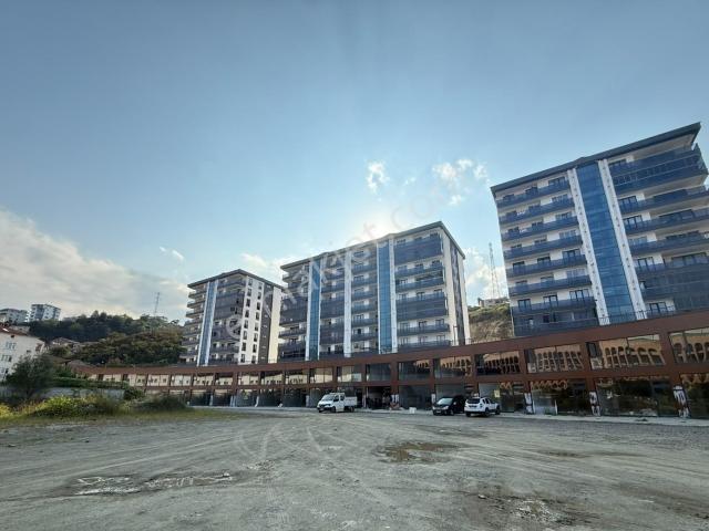 Küçükköy, Giresun Merkez içerisinde kiralık mülk