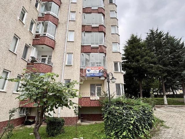 Mevlana Mahallesi, Atakum içerisinde kiralık mülk
