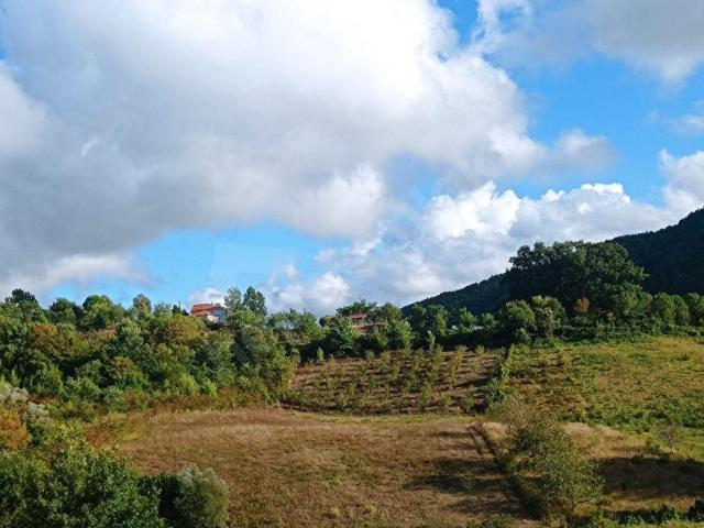 Erfelek, Sinop içerisinde satılık Arsa