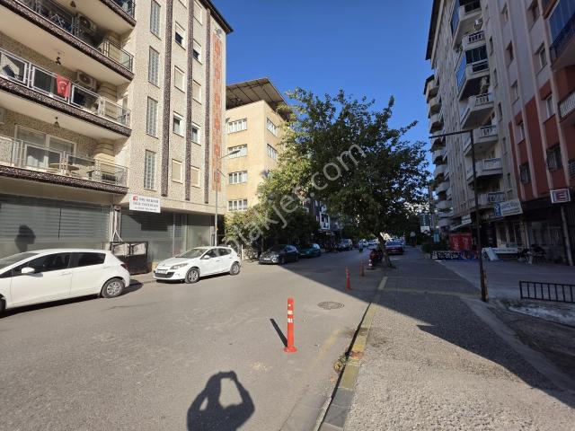 Kurtuluş Mahallesi, Efeler içerisinde kiralık mülk