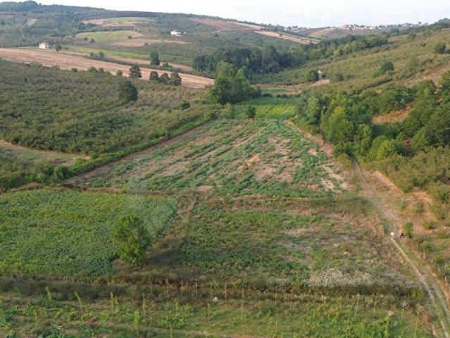 Ferizli, Sakarya içerisinde satılık Arsa