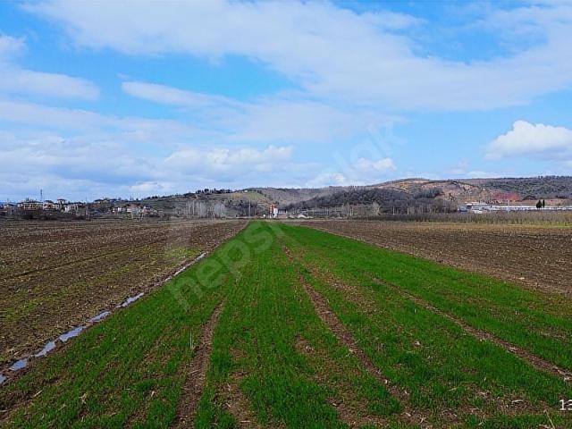 Söğütlü, Sakarya içerisinde satılık Arsa