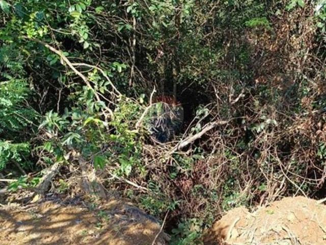 Sítio e chácara venda em Região Geográfica Imediata de Monte Carmelo, Romaria