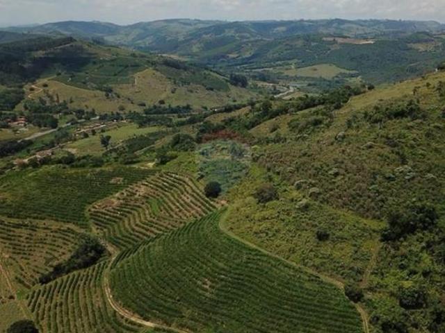 Sítio e chácara venda em Região Imediata de São José do Rio Pardo-Mococa, São Sebastião da Grama