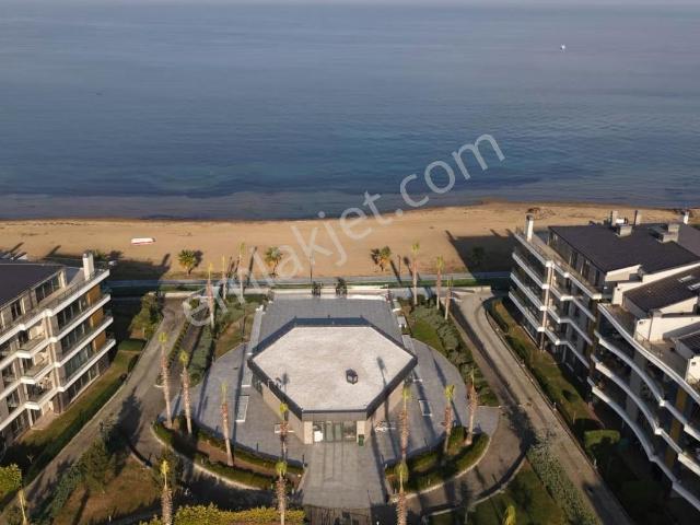 Yalova Merkez, Yalova içerisinde kiralık mülk