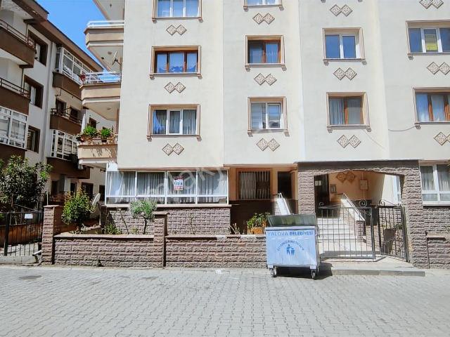 Yalova Merkez, Yalova içerisinde kiralık mülk