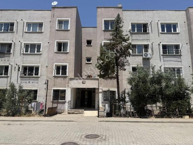 Kahramanmaraş Merkez, Kahramanmaraş içerisinde kiralık mülk